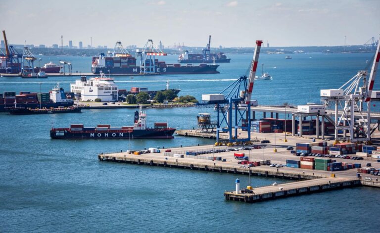 Illustration von der herbstlichen Anbringung eines Meisenkastens in Mitteleuropa zur optimalen Vorbereitung der Brutzeit